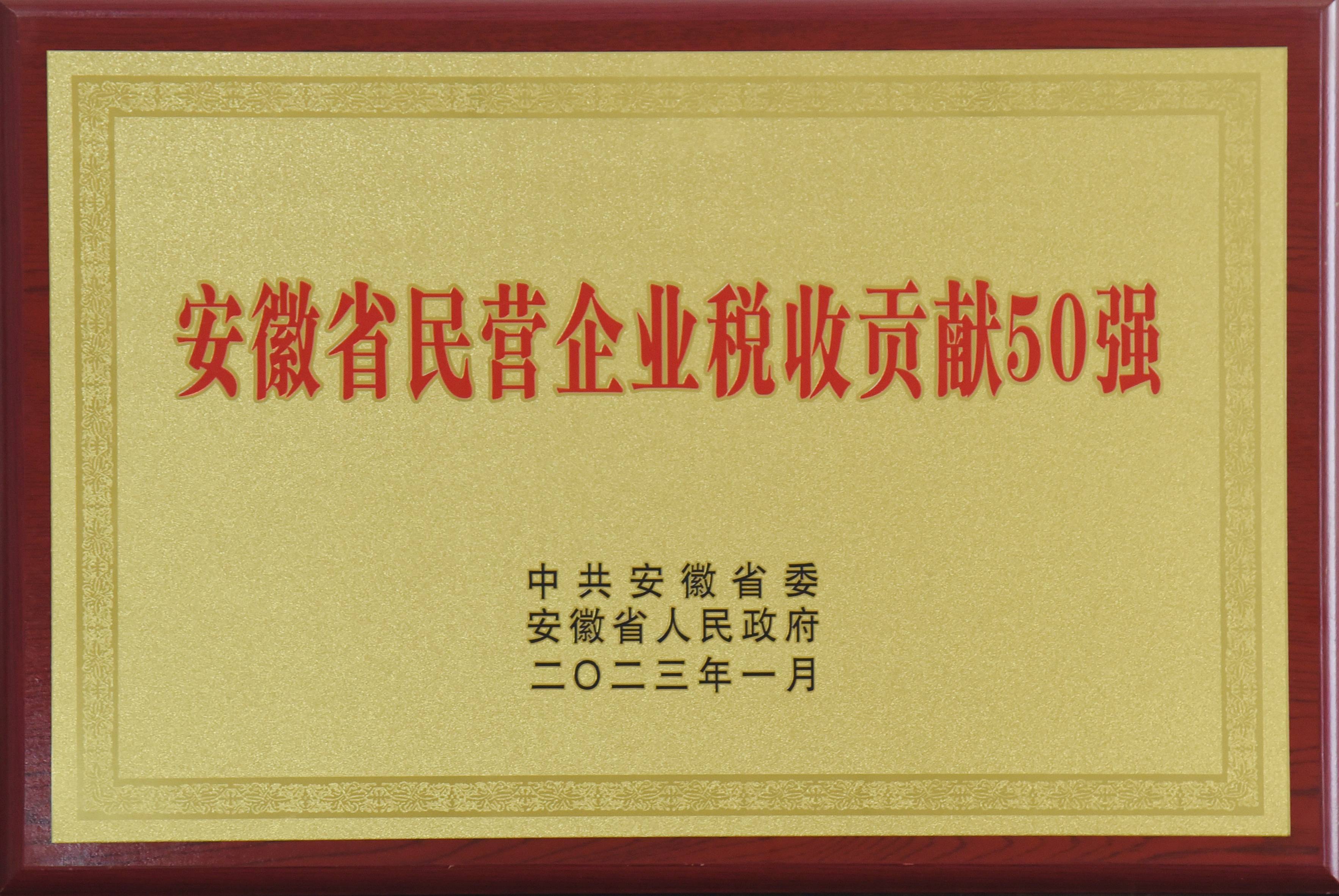 2023年安徽省民营企业税收贡献50强